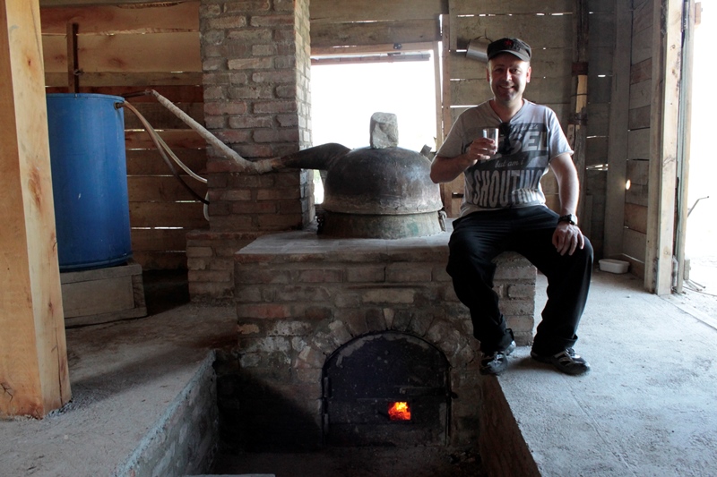 Chacha distillation