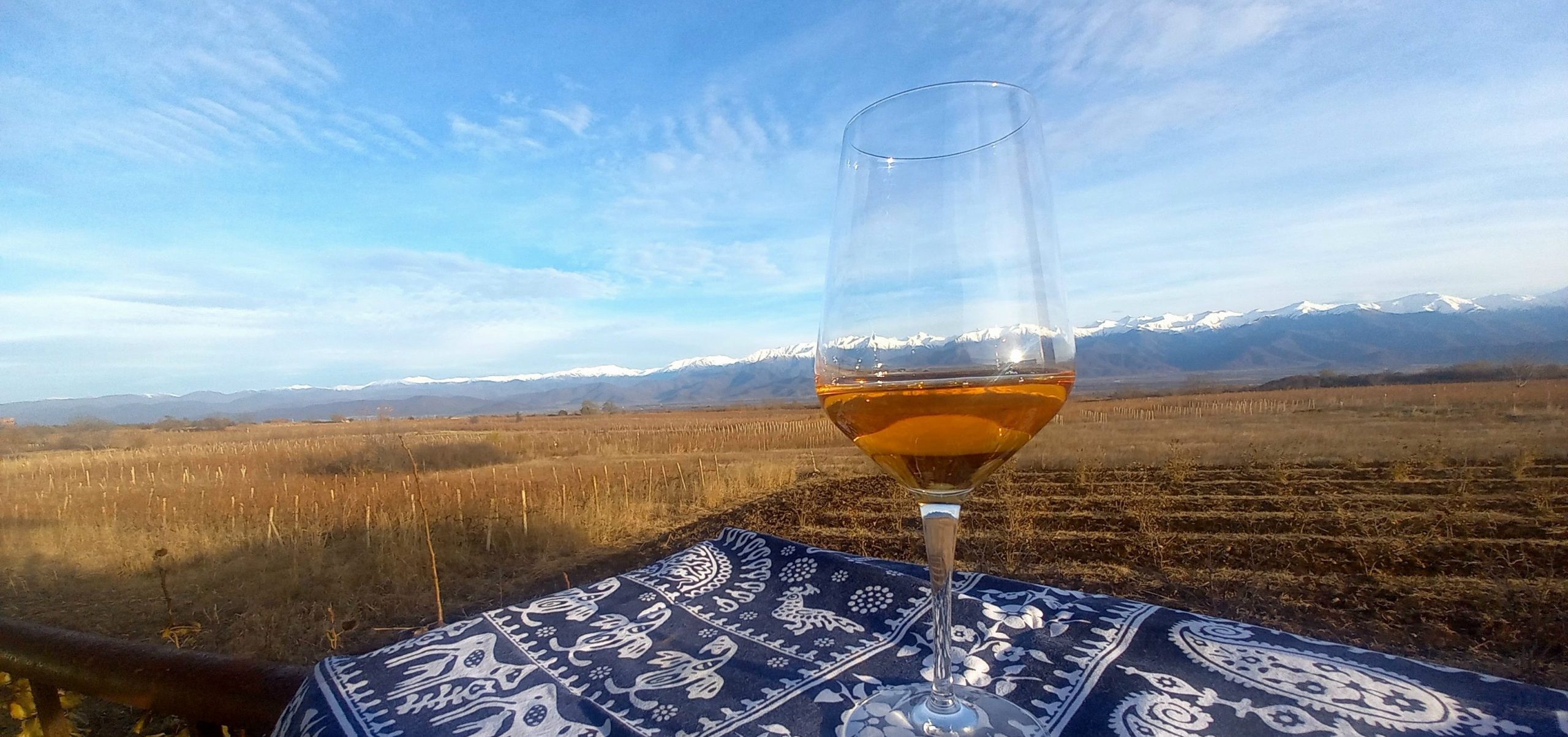 Qvevri Wine Tasting